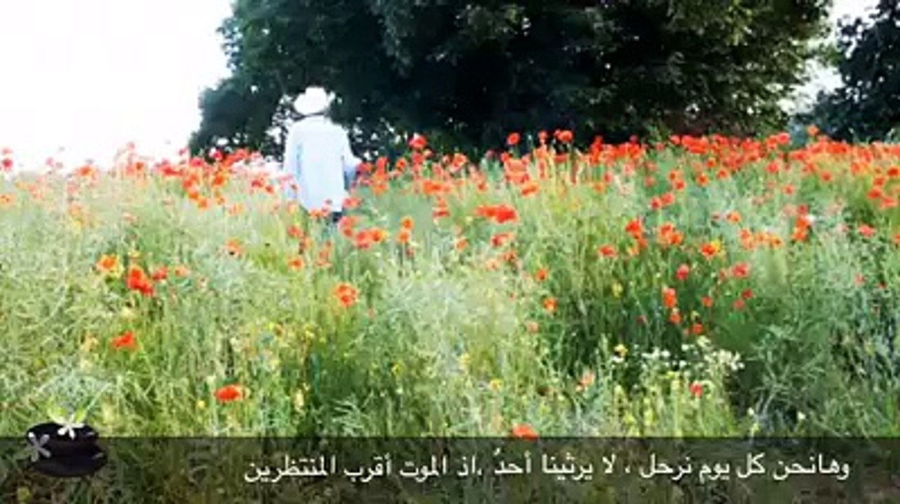 ريبر هبون،الرسالة الثامنة عشر،ذات جنون، من روائع ريبر هبون النثرية