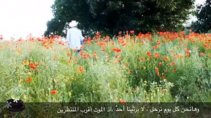 ريبر هبون،الرسالة الثامنة عشر،ذات جنون، من روائع ريبر هبون النثرية