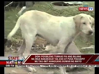 SONA: Mga nakagat ng aso at pusa, halos 5000 na