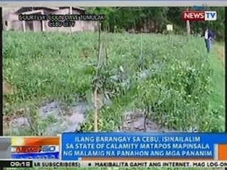 NTG: Ilang barangay sa Cebu, isinailalim sa state of calamity dahil sa matinding lamig