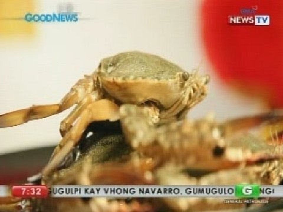 Good News: Delectable dishes that may bring you...