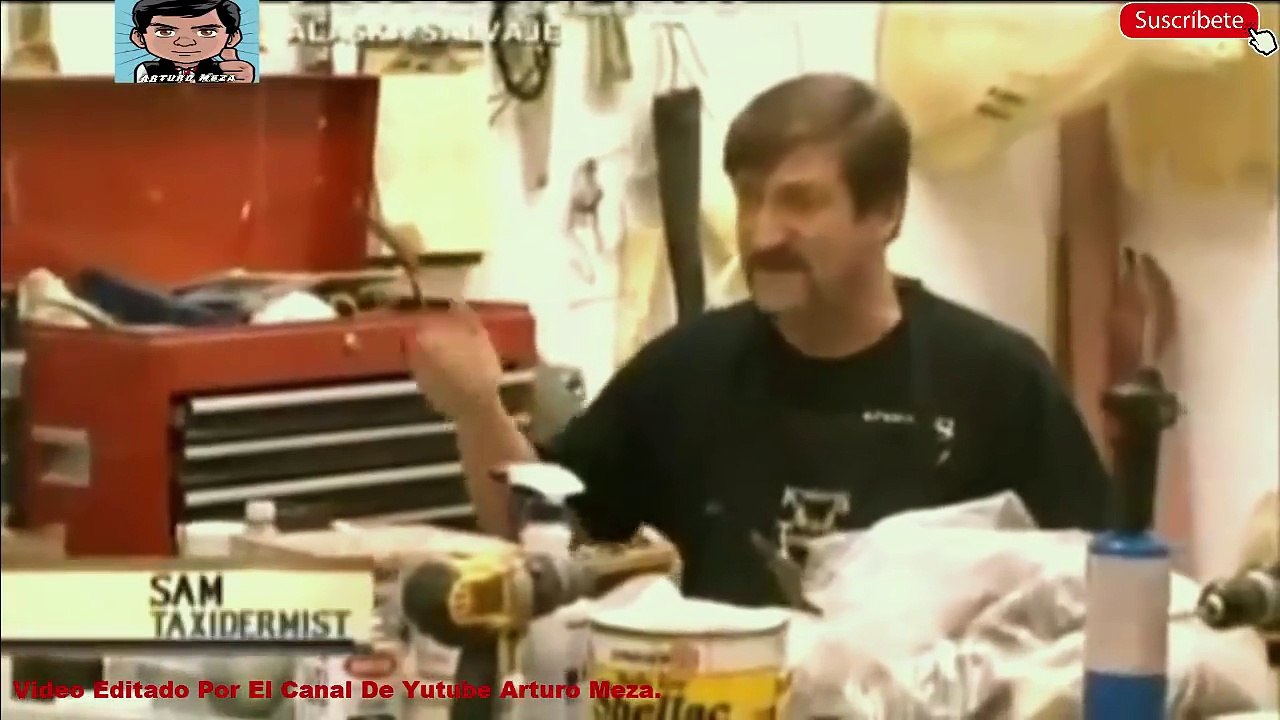 History Alaska Salvaje Ciervo en las Alturas Capitulo 4 Español Latino