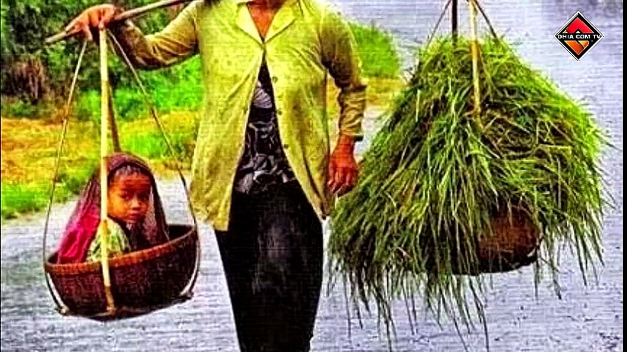 Lagu Sedih Untuk Ibu | Jasa Ibunda | Sedih Banget Siapapun Pasti Menangis | Ali Sadikin | GHIA COM TV