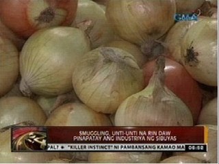 24 Oras: Smuggling, pinapatay na rin daw ang industriya ng sibuyas