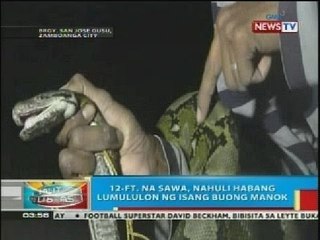 12-ft. na sawa, nahuli sa Zamboanga City