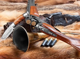 Охота на гуся в Эстонии