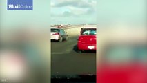 Bizarre: Ostrich runs amongst busy motorway traffic in Mexico