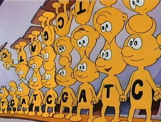 Esplorando il corpo umano - 24 - La nascita