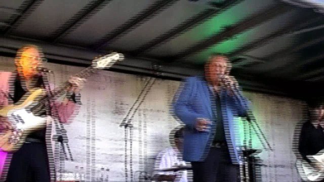 Honey Don't - Blue Suede Shoes (Wild Rock & Roll Band)