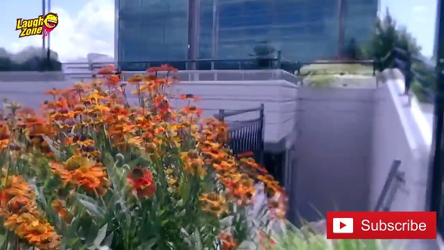 The Most Unlucky Parkour Makers, Super RUNNING, JUMPING Fails-Laugh Zone