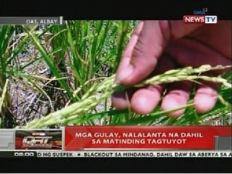 QRT: Mga gulay, nalanta na dahil sa matinding tagtuyot