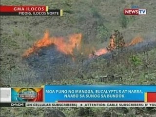BP: Mga puno, naabo sa sunog sa bundok sa Piddig, Ilocos Norte