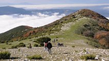 DOM.27-11-16- LE DUE CIME DI MONTE MACCHIALUNGA (1160 E 1105 M.) DAI PRATI DI STRONCONE VICINO TERNI IN UMBRIA.