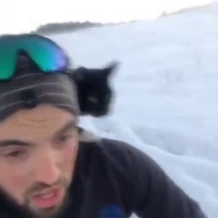 Le gars fait de la luge avec son chat...