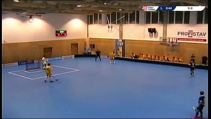 Le toit d'un gymnase s'effondre pendant un match !