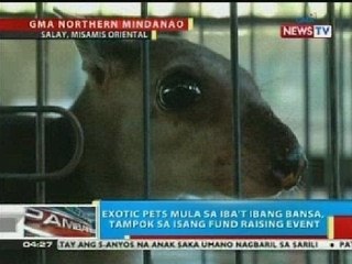 Exotic pets mula sa iba't ibang bansa, tampok sa isang fund raising event sa Salay, Misamis Oriental