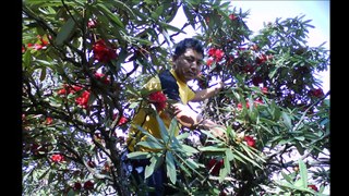 KrantiKari  Jal Jala Pariwar , Myagdi Village Photo , Nepal