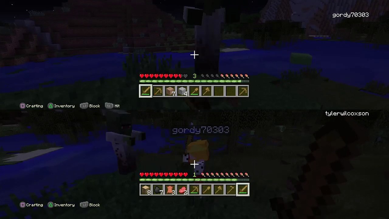 Minecraft (7)