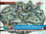 BP: Nasa P16,000 halaga ng tahong, nasamsam sa Anda, Pangasinan