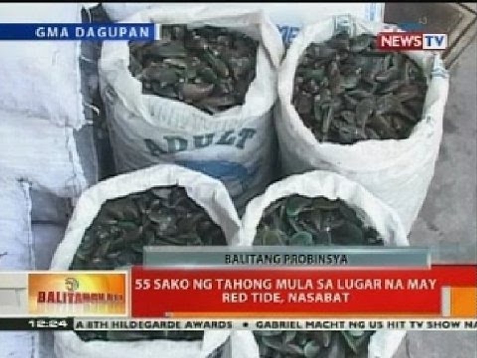 BT: 55 sako ng tahong mula sa lugar na may red tide, nasabat