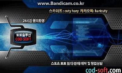 토토솔루션 입니다. 카톡haricuty스카이프cuty hary