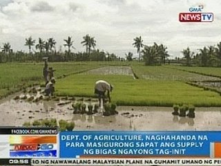 NTG: DA, naghahanda na para masigurong sapat ang supply ng bigas ngayong tag-init