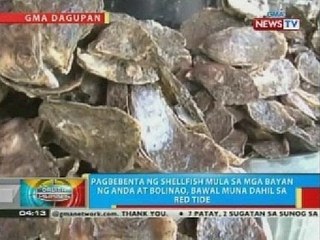 BP: Tubig sa dagat sa iba pang bayan sa Pangasinan, sinuri na dahil sa red tide sa Anda at Bolinao