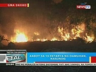 BP: Aabot sa 15 ektarya ng damuhan sa Davao City, nasunog