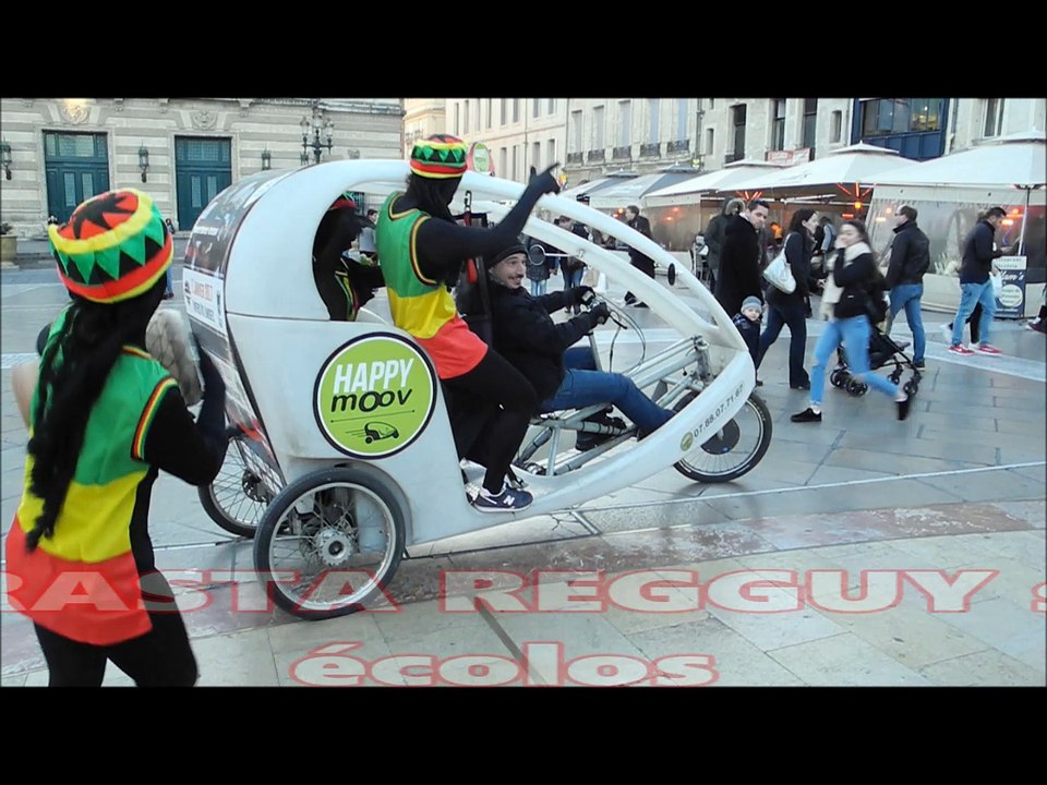 Rasta video
