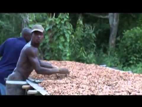 RTI1 / Societe - Les petits producteurs bénéficient de l'appuie de la FAO