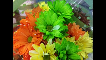 Surah Baqarah Translation &Tafseer part 14