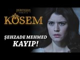 Muhteşem Yüzyıl: Kösem 12.Bölüm | Şehzade Mehmed kayıp!