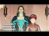Muhteşem Yüzyıl Kösem 30.Bölüm | Şehzade Murad'ın takdimi