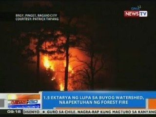 NTG: 1.5 ektarya ng lupa sa Buyog Watershed sa Baguio, naapektuhan ng forest fire