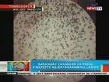 BP: Barangay Caniogan sa Pasig City, pinepeste ng napakaraming lamok