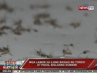 Sangkatutak na lamok ang pumeperwisyo ngayon sa ilang lugar sa Tondo, Maynila at Pasig City