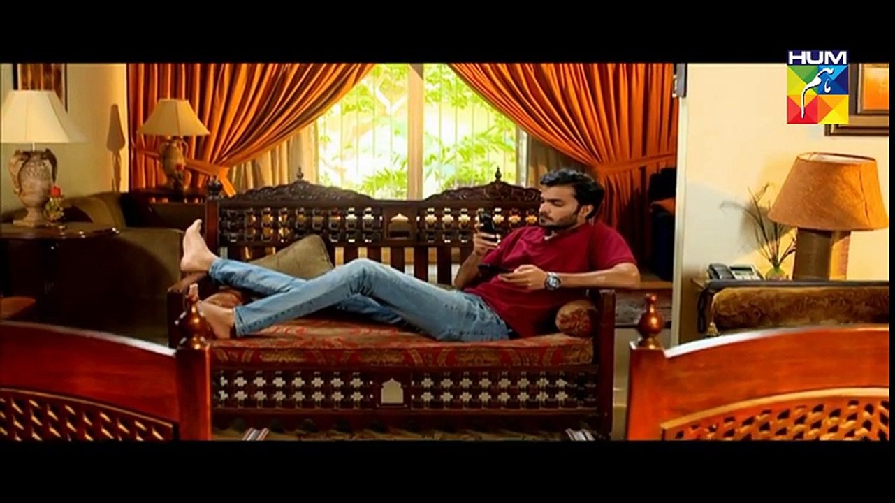 Sanam Episode 19 on Hum tv 16th January 2017 - Pakistani Dramas