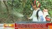 BT: Misting operations, ikinasa para mapuksa ang mga lamok