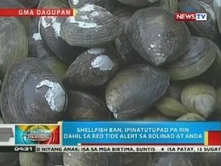 Mahigit 4 na sakong tahong na kontaminado raw ng red tide toxin, kinumpiska sa Dagupan City