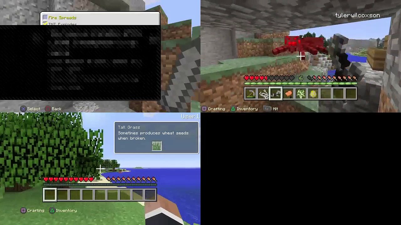 Minecraft Try finding ores (8)