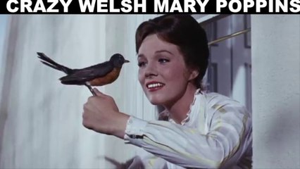 SPICKY VALLEY - Mary Poptyping - Welsh Mary Poppins