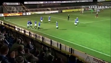 Les plus belles actions de David Henen avec Everton !