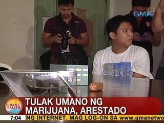 UB: Tulak umano ng marijuana, arestado sa Makati City