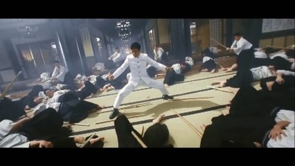 Donnie Yen - Best fight scenes