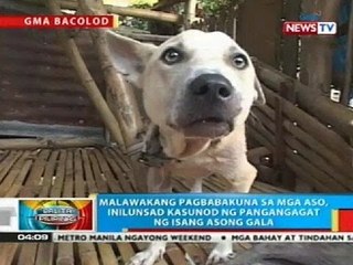 BP: Malawakang pagbabakuna sa mga aso, inilunsad sa Bacolod City