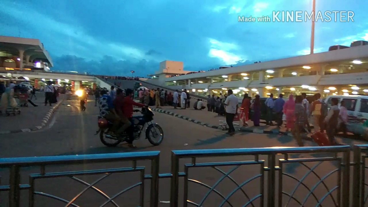 Thousands of Sparrows Charming On a Lonely tree in front of Dhaka International Airport
