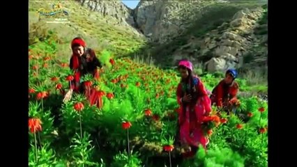 Occo Mahabad Li cihê ku ez hatim