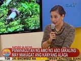 UB: Kapuso sa Batas: Pananagutan ng amo ng aso sakaling may makagat ang kanyang alaga