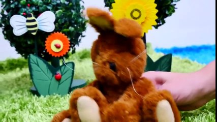 Hayvan Oyunları ile Hayvanları Tanıyın