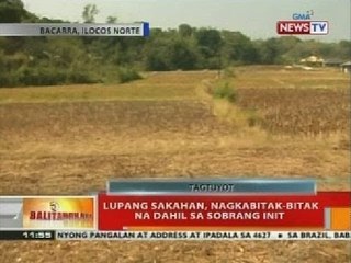 BT: Lupang sakahan, nagkabitak-bitak na dahil sa sobrang init